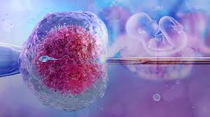 Common Myths About IVF Specialists You Shouldn't Believe